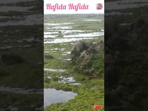شاطئ الصويرة الطريق إلى سيدي كوكي بحرا 🏞️😍Essaouira beach, the road to Sidi Kouki by sea
