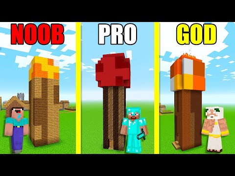 Minecraft Battle NOOB vs PRO vs GOD: TORCH HOUSE BUILD CHALLENGE - Animation