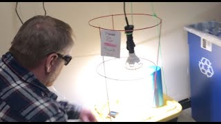 Capsicum Cultivation in a Cleaning Closet Part 1