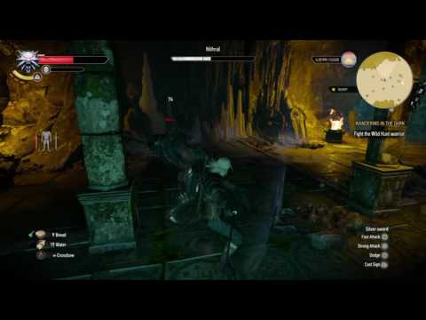 Nithral (Wild Hunt Warrior) Boss Fight