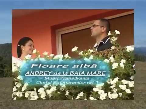 Andrei de la Baia Mare - Floare alba | video