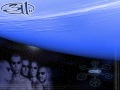 311- "SILVER" 8-6-96