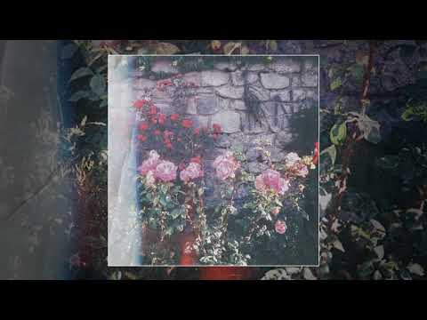 Lumtz - Atardeceres (Full Album)