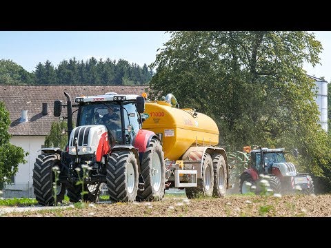 Schweinemastbetrieb aus Österreich arbeitet mit STEYR 6160 & 6165 CVT und Lenksystem | STEYR S-Tech