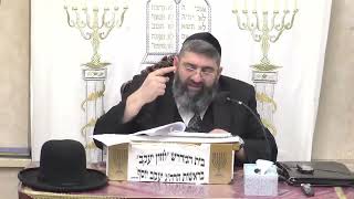 הרב אייל עמרמי | פרשת בשלח תשפ"ו - לחיות בשלום עם כולם | חזון יעקב (בית הכנסת מוסאיוף) - התמונה מוצגת ישירות מתוך אתר האינטרנט יוטיוב. זכויות היוצרים בתמונה שייכות ליוצרה. קישור קרדיט למקור התוכן נמצא בתוך דף הסרטון הרב אייל עמרמי | פרשת בשלח תשפ"ו - לחיות בשלום עם כולם | חזון יעקב (בית הכנסת מוסאיוף) - התמונה מוצגת ישירות מתוך אתר האינטרנט יוטיוב. זכויות היוצרים בתמונה שייכות ליוצרה. קישור קרדיט למקור התוכן נמצא בתוך דף הסרטון