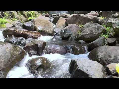 Flowing freshwater river in West Java capturing natural rhythm, balance, and immersive ambience