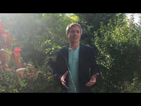 Unternehmersein als Prozess der Selbsterkenntnis