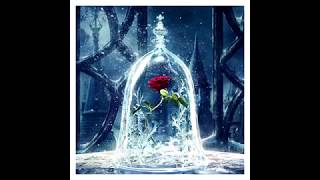 5D Diamond Painting Enchanted Rose | Time Lapse | Full Drill (30x30)