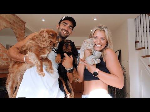 we have a new family member.. VLOG