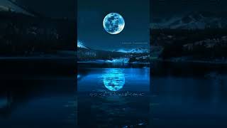 Download lagu Neeraduvan nilayil neeraduvan song || Naghakshadhangal || Yesudas hits || #whatsappstatus mp3