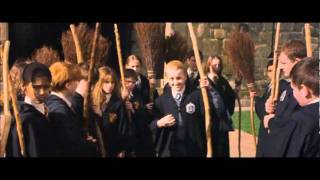 How Harry Potter Became The Seeker Of Gryffindor