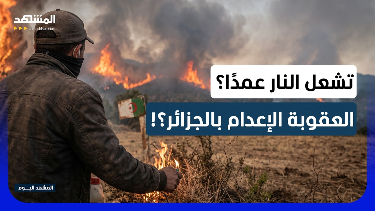 الجزائر ترد على الحرائق بأقصى العقوبات.. الإعدام لمفتعليها - المشهد اليوم