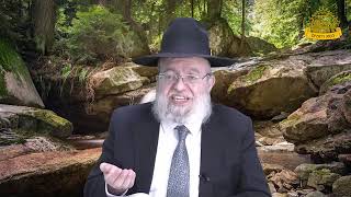 דף היומי בחצי שעה - נזיר דף נ"א