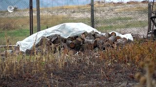 10 250 са одобрените до момента заявления за отопление в област Кърджали