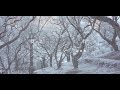 陳明憙 Jocelyn 聲之靜 Lyric Video 音頻治療單曲 Sound Of Silence Sound Healing X Cantopop