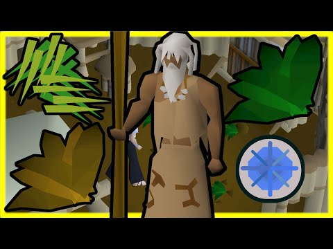 OSRS Quest Lore 060 - Jungle Potion