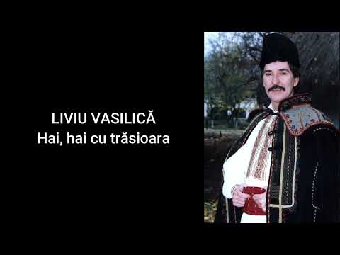 Liviu Vasilica - Hai, hai cu trasioara