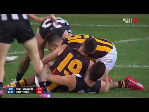 Round 9 AFL - Collingwood v Hawthorn Highlights
