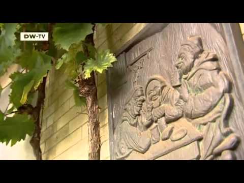 From Vine to Wine | euromaxx