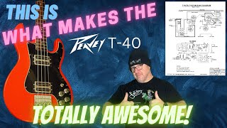 Video thumbnail for Why The Peavey T 40 Is Amazing by Rexylab