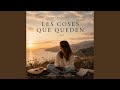 Les coses que queden
