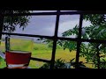 Rain With Tea Fillings Of Love ️ Whathapp Status
