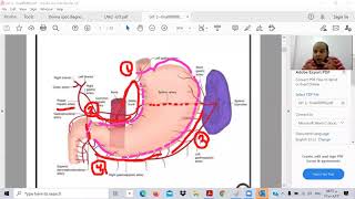 Gastrointestinal 2 (GIT2- TOXIC USMLE) Ibrahem Gamal شرح وحل معادلة امريكية-ابراهيم جمال