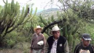 preview picture of video 'Levantamiento Topográfico Chazumba - Parte 4'