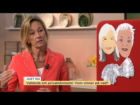 Hur påverkar regeringsalternativen plånboken? - Nyheterna (TV4)
