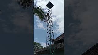 Download lagu eling-eling siro kabeh manungso #boyolali #wongjowo #sinauurip mp3 Download lagu eling-eling siro kabeh manungso #boyolali #wongjowo #sinauurip mp3