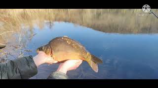 Anastacia, Jacidorex - Left Outside Alone X Run