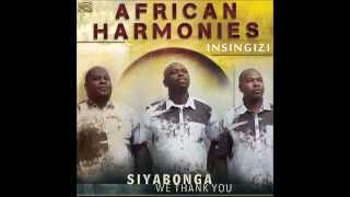 Dumisani Ramadu Moyo - Africa