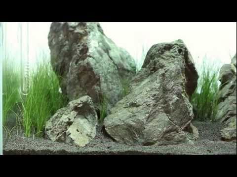 ADA Products How-To Series, episode 2