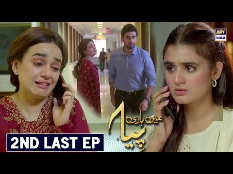 Mein Hari Piya 2nd Last Episode 48 - Mein Hari Piya Episode 48 Promo - Ary Digital Drama