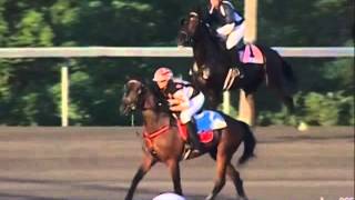 July 01, 2014, Race Under Saddle, Mohawk Racetrack
