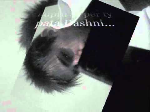 Kiki & Arjan - Un po Du met Pas Fat 2o11