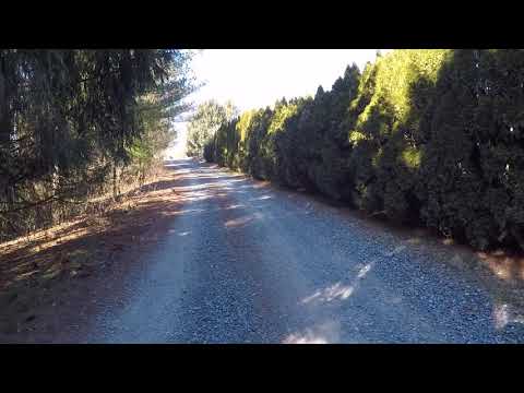 01/30/2021 - Blue Marsh Lake - Beginning of Zerbe Drive After Multipurpose Trail and Route 183