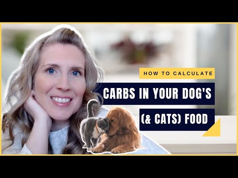 How To Calculate The Carbs In Your Dog & Cat Food (& Why It's Important!)