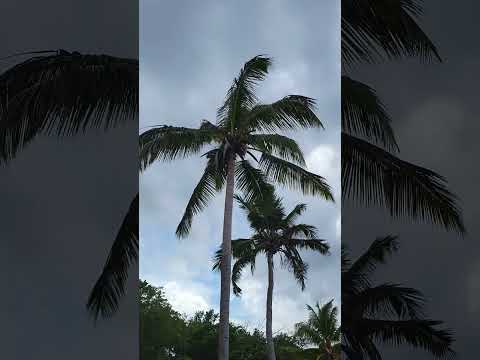 Yadira Rafelina en la playa de Costanbar en Puerto Plata