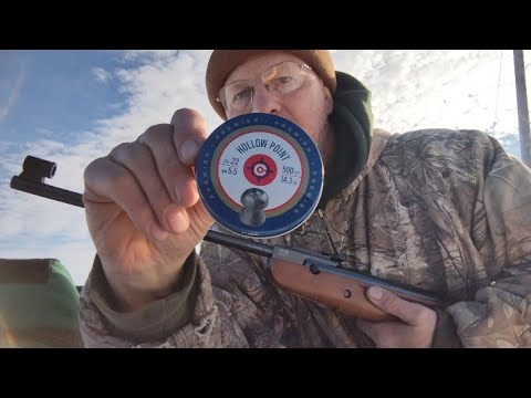 HW95 Luxus 22 Open Sites: Handshake Hold: