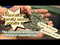 Tea Factory S Material Secret Chunmee Tea From Fresh Leaves To Semi Finished Tea