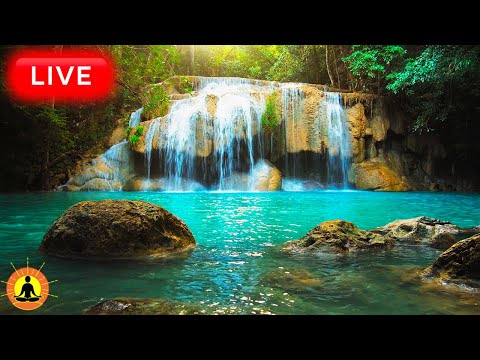 🔴 Relaxing Music for Stress Relief 24/7, Tranquil Bird Sounds, Spa Music, Relaxing Nature Music