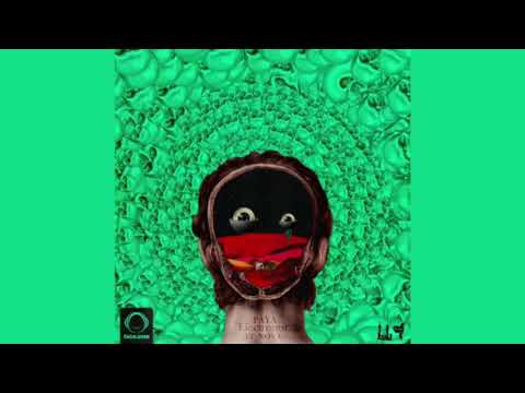 Paya ft Nova - Electronist