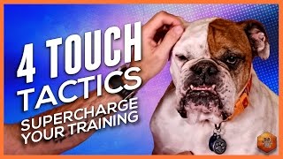 Video: How to Pet Your Dog- Touch Tactics