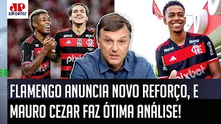 Falou tudo! “Se ele fizer isso, pode virar um….” Mauro Cezar analisa novo reforço do Flamengo!