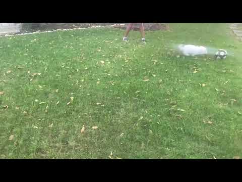 Griffin playing soccer