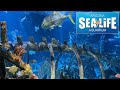 Sea Life Arizona Vs Odysea Aquarium