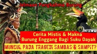 Download lagu The Meaning of the Hornbill for the Dayak Tribe mp3 Download lagu The Meaning of the Hornbill for the Dayak Tribe mp3