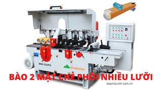 BÀO 2 MẶT KẾT HỢP CƯA NHIỀU LƯỠI WOODMASTER WM-325PS. Vừa bào 2 mặt vừa xẻ phôi với nhiều lưỡi