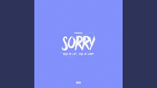 Sorry Sorry